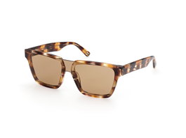 Web Eyewear WE0314-0041F para Hombre con Cristales Marrones Degradados