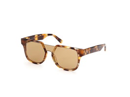 Web Eyewear WE0315-0041F con cristal marrón degradado