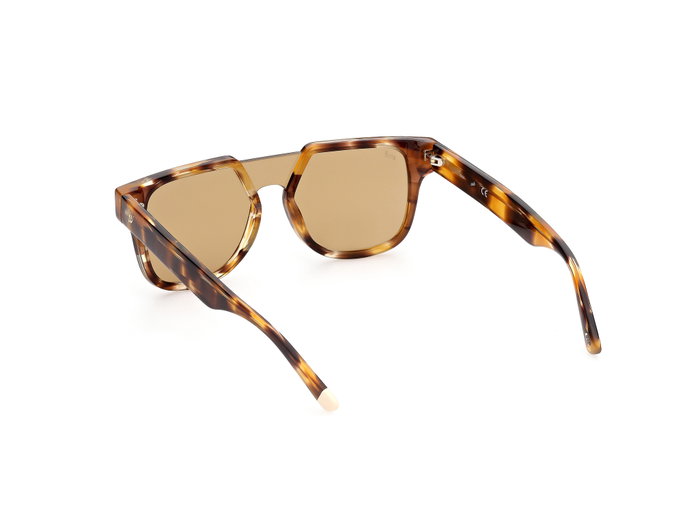 Web Eyewear WE0315-0041F con cristal marrón degradado