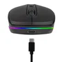 NGS SMOG-RB Ratón Inalámbrico Multimodo RGB 2400 DPI Negro
