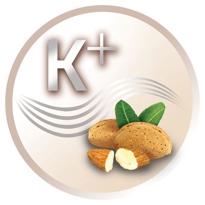 Remington AC8002 Secador de Pelo Profesional, 2200 W, 2 Velocidades y 3 Temperaturas, Función Iónica y Fría, Cable Giratorio 1.8 m, Gris, Con Agujero para Colgar