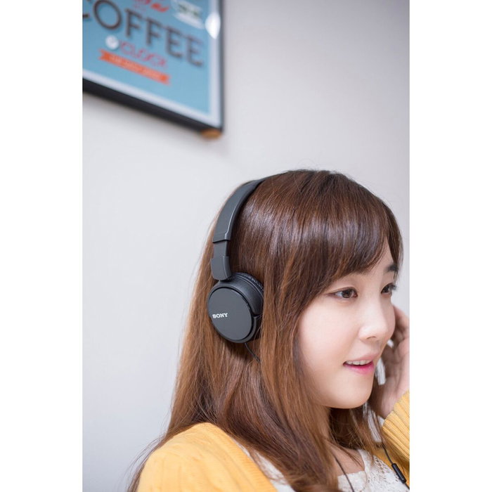 Sony MDR-ZX110AP Auriculares con Micrófono Negro