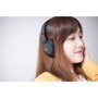 Sony MDR-ZX110AP Auriculares con Micrófono Negro