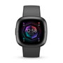 Fitbit Sense 2 Shadow Grey/Graphite