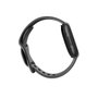 Fitbit Sense 2 Shadow Grey/Graphite