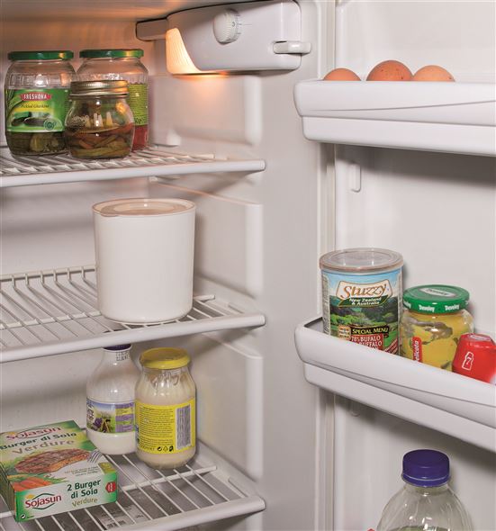 Yogurtera Ariete 621