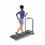 Cinta de Correr Xiaomi WALKINGPAD R2B KINGSMITH