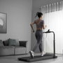 Cinta de Correr Xiaomi WALKINGPAD R2B KINGSMITH