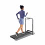 Cinta de Correr Xiaomi WALKINGPAD R2B KINGSMITH