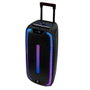 Woxter Rock'n'Roller ST Altavoz Trolley Bluetooth 100W con Micrófono