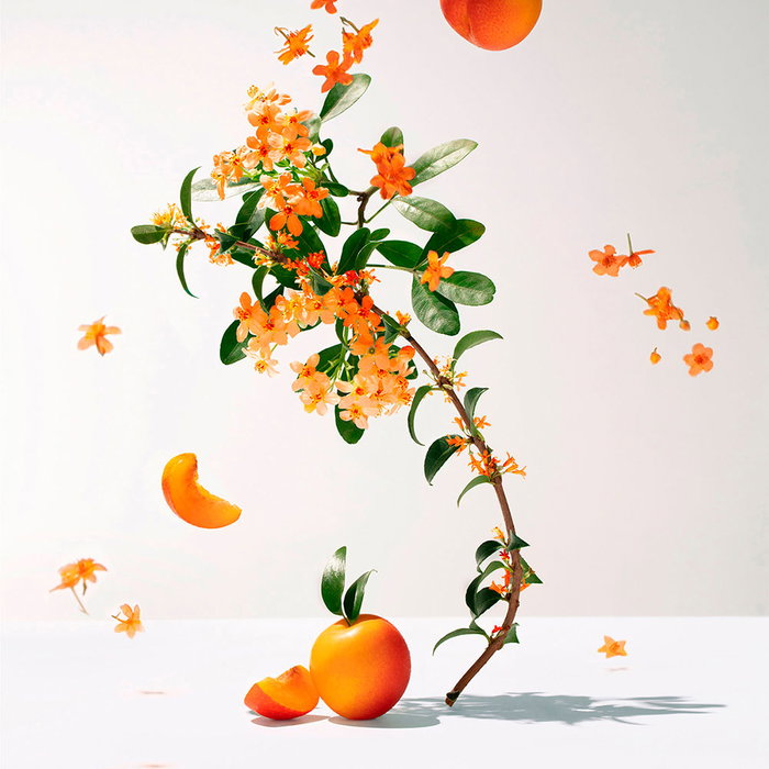 Roger & Gallet Fleur d'Osmanthus Eau de Toilette Mujer 100 ml