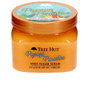 Tree Hut Exfoliante Papaya Paradise 510 g