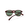 Hawkers BEL AIR Gafas de Sol Polarizadas Carey Verde para Adultos Montura Acetato Unisex