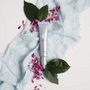 Atashi FRESH & PURE DD cream stay matte #medio 40 ml