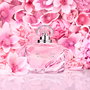 Estée Lauder Beautiful Magnolia Eau de Parfum Vaporizador para Mujer 100 ml - Fragancia Floral