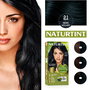 Naturtint #2.1 Tinte Permanente Sin Amoniaco en Gel Color Negro Azulado para Cubrir Canas al 100% con Mascarilla Quinoa - 170 ml