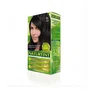 Naturtint Tinte sin Amoniaco 1N-Ébano Negro 170 ml