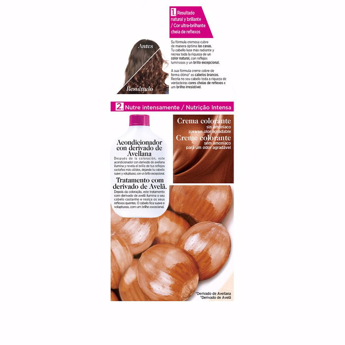 L'Oréal Paris Crema de Cabello Brillante Castaño Dorado #503, Tratamiento de Color Semi-Permanente Sin Amoniaco, 180 ml