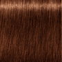 Schwarzkopf Igora Royal Absolutes 6-60 5-50