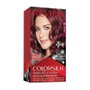 Revlon COLORSILK 48-borgoña