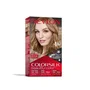 Revlon COLORSILK Tinte Permanente 61-rubio oscuro