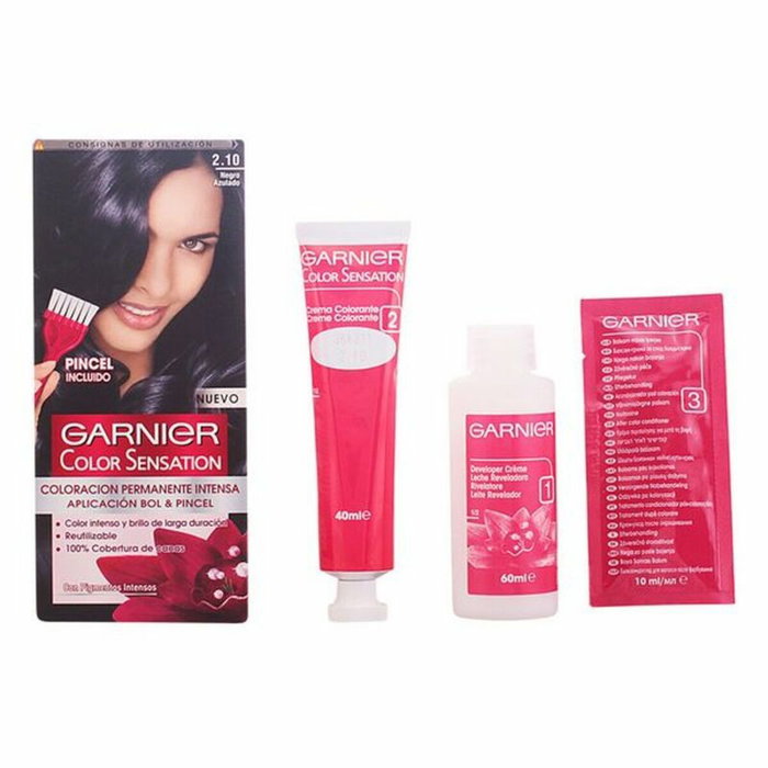 Garnier Color Sensation 2,10-negro azulado