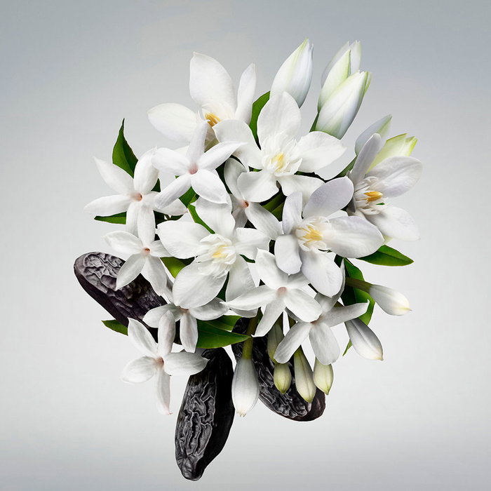 Carolina Herrera GOOD GIRL Gel de Ducha y Baño 200 ml - Fragancia Floral Oriental - Para Mujer