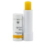 Dr. Hauschka Protección Labial Stick 4,9 g