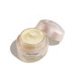 Shiseido Benefiance Wrinkle Smoothing Day Cream SPF25 50 ml