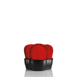Shiseido Hanatsubaki Hake Face Brush