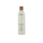 Aveda Rosemary Mint Purifying Shampoo 250 ml
