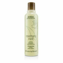 Aveda Rosemary Mint Purifying Shampoo 250 ml
