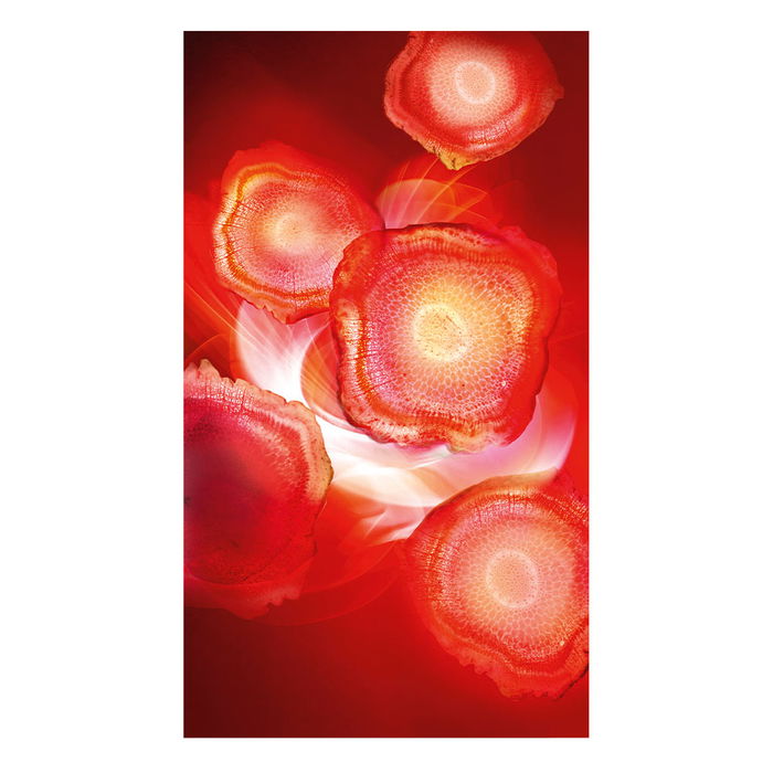 L'Oréal Paris REVITALIFT Ginseng Rojo Crema de Día Energizante con Ginseng Rojo Antiedad 50 ml