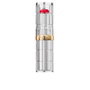 L'ORÉAL PARIS Color Riche Shine Lips 350 Insanesation