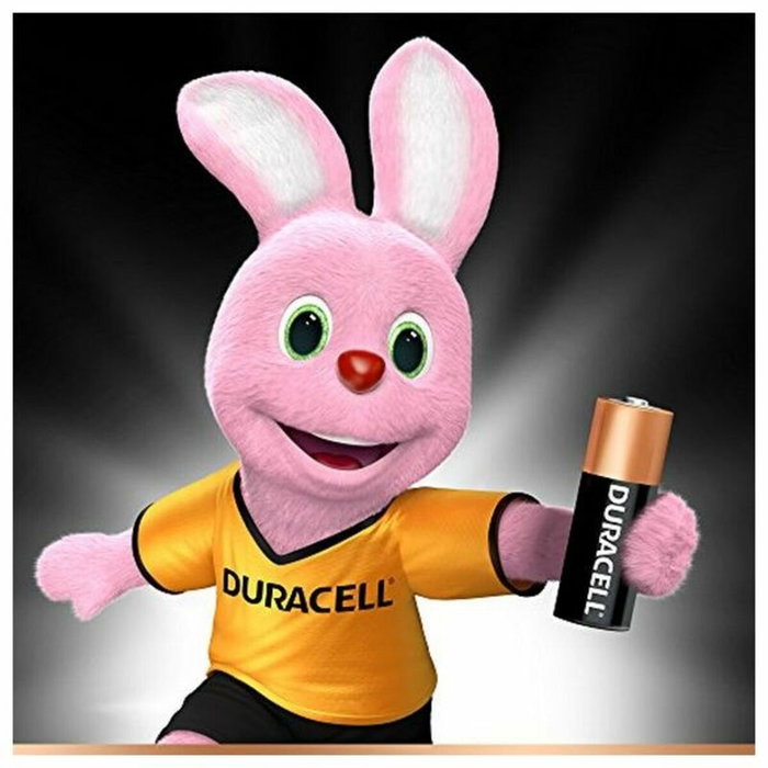 Duracell MN21 Pilas Alcalinas 12V (Pack de 2) Duracell MN21 Pilas Alcalinas 12V (Pack de 2)