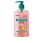 Sanytol Jabón de Manos Antibacteriano Cocina 250 ml