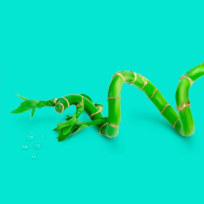 Jowaé REVITALIZING moisturizing lotion, Leche Hidratante Corporal Revitalizante con Lumifenoles y Agua de Bambú, 400 ml