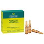 Cantabria Labs Endocare Antiaging Regeneration Ampollas de 1 ml (7 unidades)