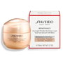 Shiseido Benefiance Wrinkle Resisting Overnight Cream 50 ml