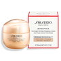 Shiseido BENEFIANCE OVERNIGHT wrinkle resisting cream 50 ml Crema Antiarrugas Noche