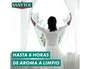Sanytol Ambientador Desinfectante Hogar y Tejidos Flor de Algodón 300 ml