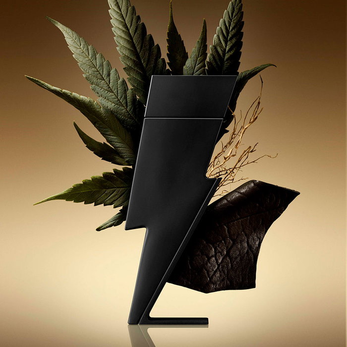 Carolina Herrera Bad Boy Le Parfum Eau de Parfum 100 ml