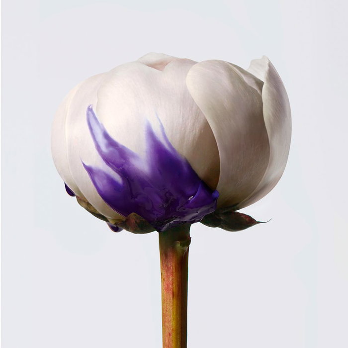 Shu Uemura Yubi Blonde Antibrass Purple Mask 200ml
