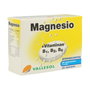 Vallesol Magnesio y Vitaminas B1, 2, 6 Efervescente 24 Comprimidos
