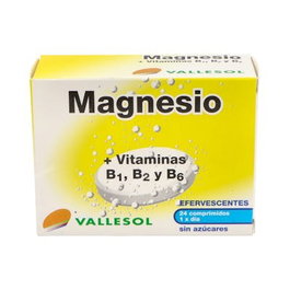 VALLESOL Magnesio+B Efervescente 24 Comp.