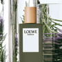 Loewe Esencia Eau de Toilette Vaporizador 100 ml Hombre Amaderada