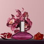 Calvin Klein Euphoria Eau de Parfum Vaporizador para Mujer - 30 ml - Fragancia Frutal, Sexy y Envolvente