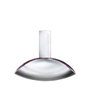 Calvin Klein EUPHORIA Eau de Parfum 30 ml