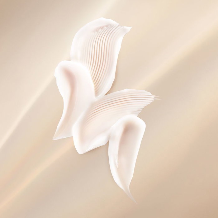 Elizabeth Arden ADVANCED CERAMIDE Lift & Firm Crema de Día Reafirmante Facial con Tecnología 3D FIT 50 ml Elizabeth Arden ADVANCED CERAMIDE Lift & Firm Crema de Día Reafirmante Facial con Tecnología 3D FIT 50 ml