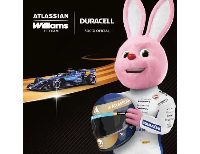 Duracell Plus Power Pilas Alcalinas D LR20/MN1300 Pack de 2